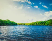 Vigilance crue - Jaune