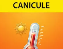 VIGILANCE JAUNE CANICULE